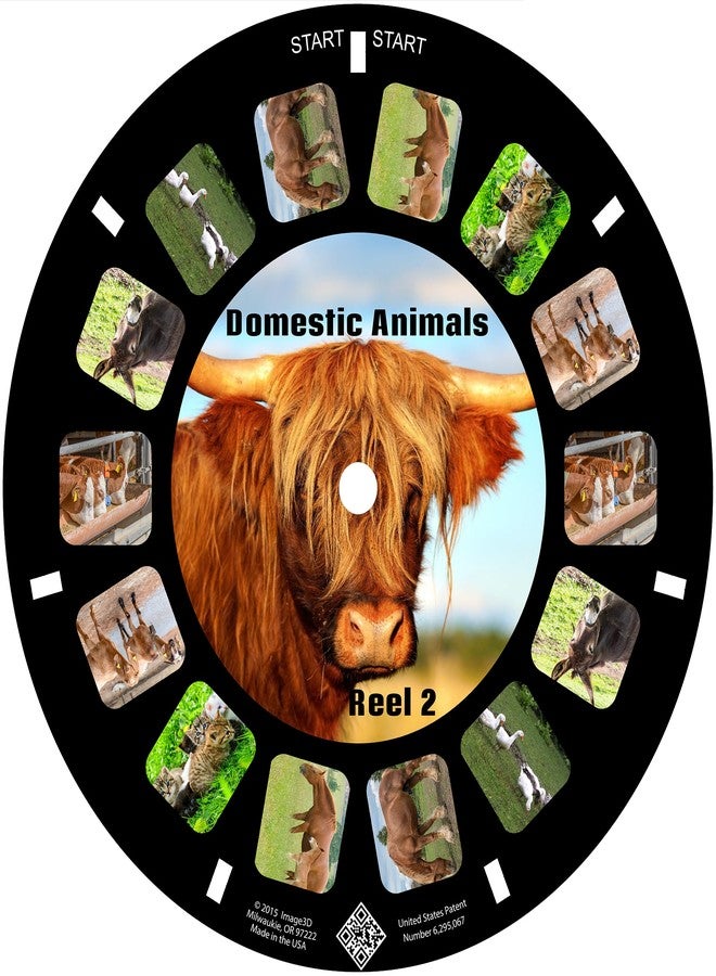 MayKo Farm Animal Reels for Viewfinder, Domestic Animals, Compatible with Viewmaster Classic Viewers. Set of 3 (Reels Only) - Image 3